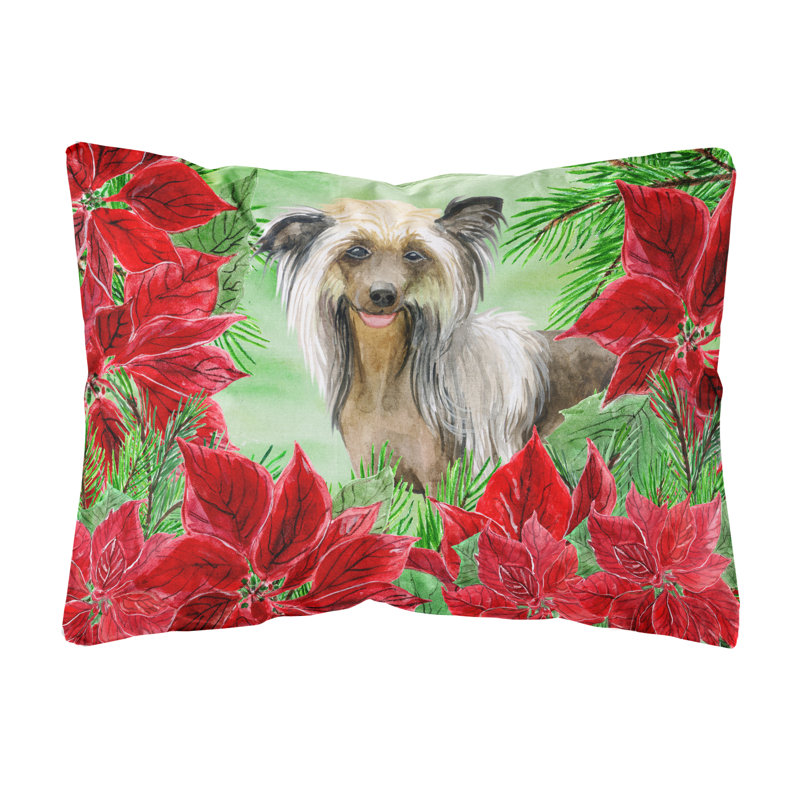  Coussin décoratif chinois
