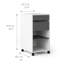 Cynthiaann 40.2 cm W 2 -Drawer Filing Cabinet