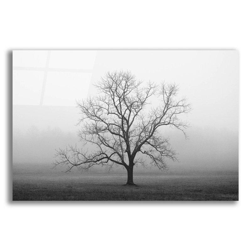 "Velvet Sunrise" par Nicholas Bell, photographie, H 16 po x l 24 po x P 0,2 po