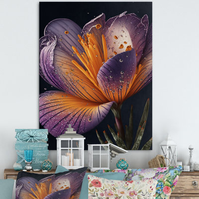 " Blooming Crocus II "