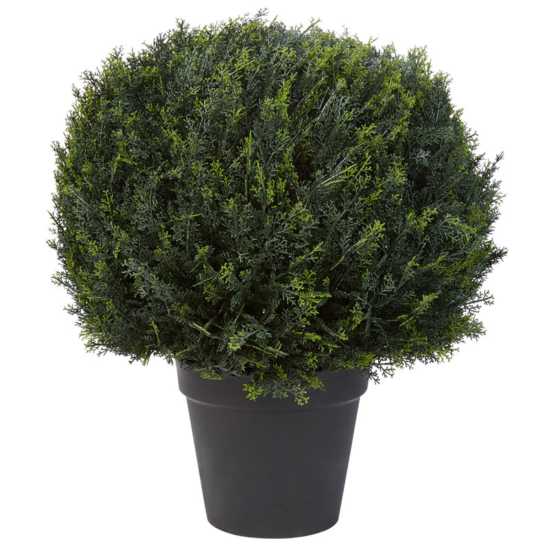 Artificial Cypress Topiary-23" Ball Style Faux Plant in Sturdy Pot-Realistic Indoor or Outdoor Potted Shrub