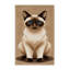  Tapis lavable avec raquettes-1046420660