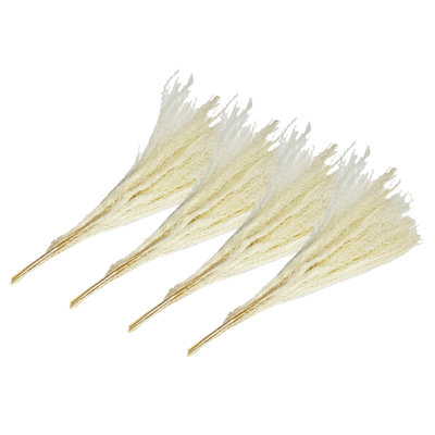 Ensemble de 4 bouquets de poussière de Bouddha séché préservé 21 po