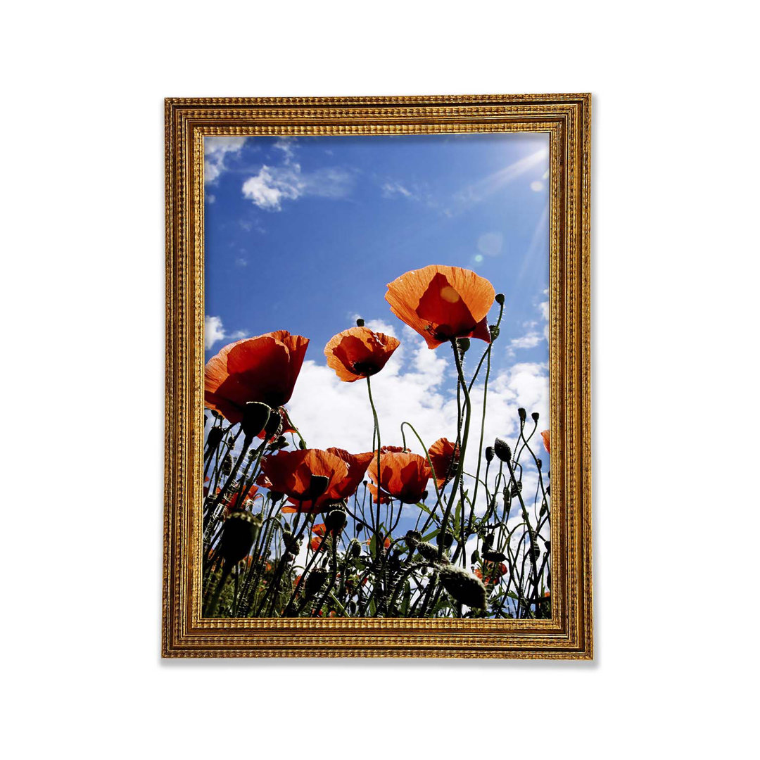 Gerahmtes Wandbild Orange Poppy Skies