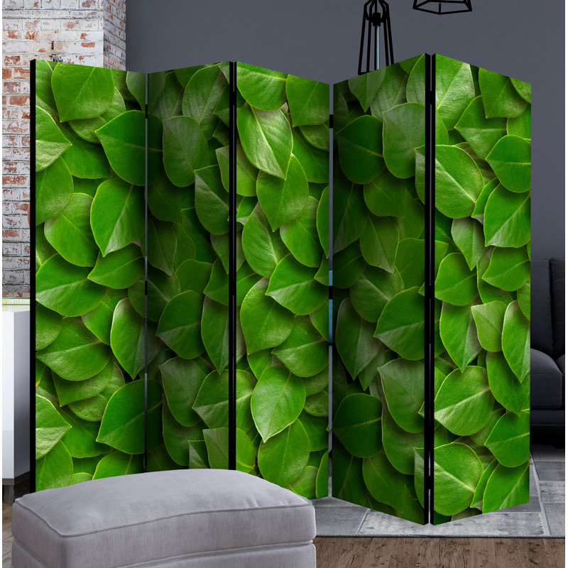 Mayweather 172cm H Solid Wood Folding Room Divider, 5, Green
