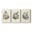 French Dogs VII - toile tendue avec châssis sur mesure - 3 pièces-621681666