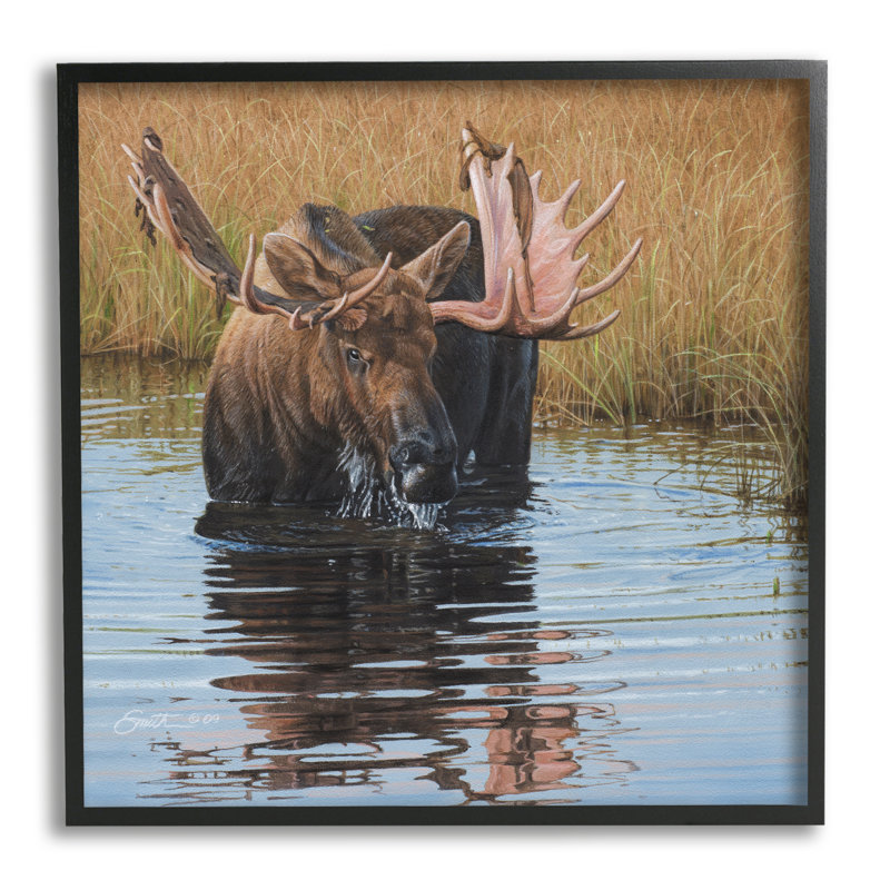 «Moose In Water Wildlife Scene» encadré sur bois par Daniel Smith, peinture, H 12 po x l 12 po x P 1,5 po