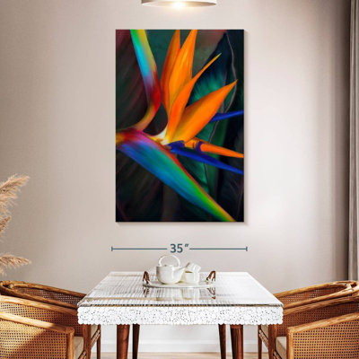 Harnek, oiseaux colorés du paradis