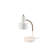 Hyrmet Metal USB Desk Lamp