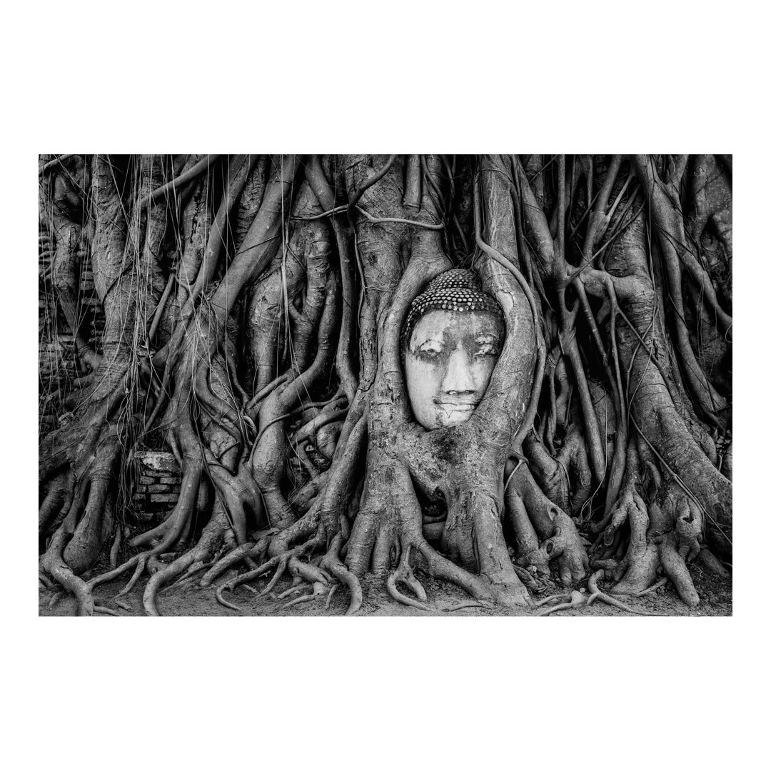 Buddha in Ayutthaya Surrounded by Tree Roots 1.9m x 2.88m Textured Matte Peel & Stick Wall Mural
