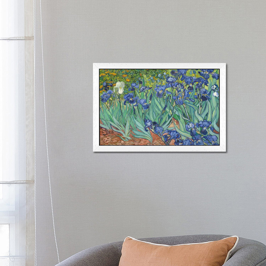 Irises, 1889 by Vincent Van Gogh - Painting Print on Canvas