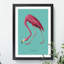 Flamingo in Teal by John James Audubon - Picture Frame Graphic Art on MDF-62801679-62801675