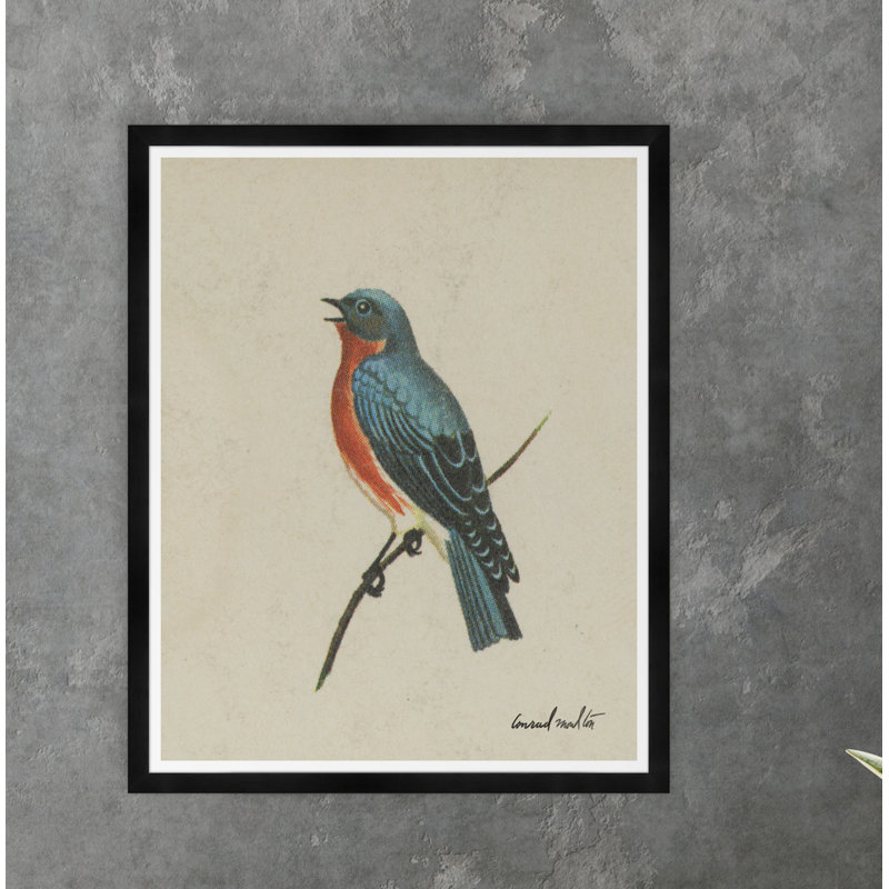 Swallow Print