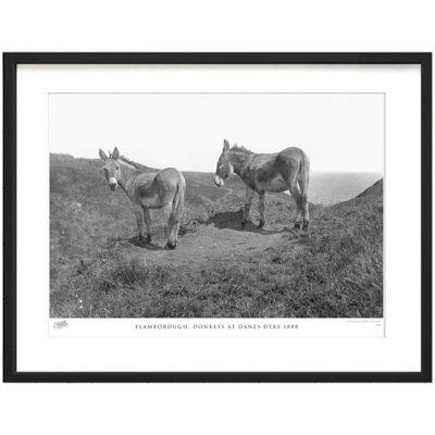 Flamborough, Donkeys at Danes Dyke 1888 1 Piece Single Picture Frame Wall Art