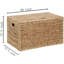 Coffre de rangement Ehemco