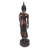 Free Fear Standing Buddha Statue