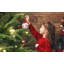 Arbre de Noël artificiel 7,5 pi, pin articulé de qualité supérieure avec 3135 pointes, aiguilles en PE + PVC réalistes, bourre facile, support en métal robuste pour la décoration intérieure et extérieure des Fêtes-1913470257-1913470270-1913470263