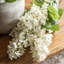 Vintage Cone Hydrangea Floral Stem-1957133385