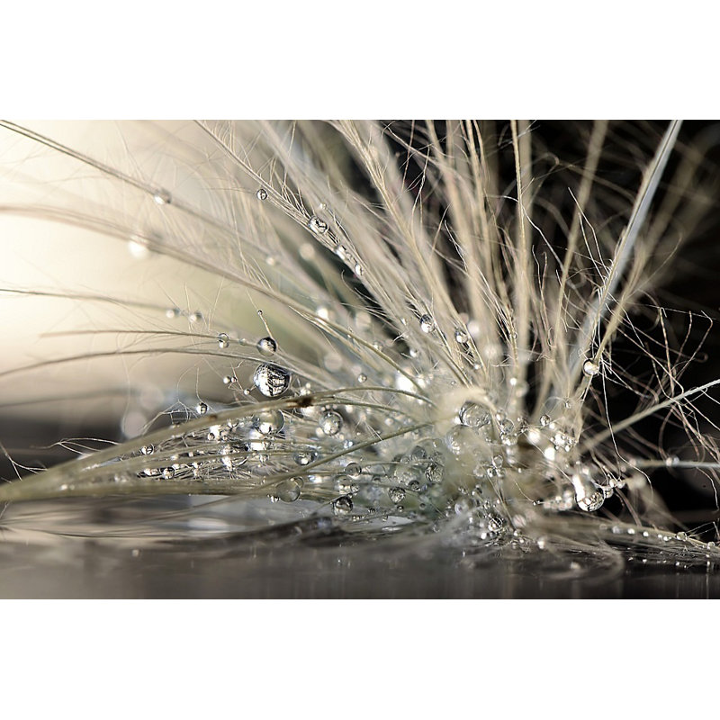 Wrapped Canvas Print, 76.2 cm H x 50.8 cm W
