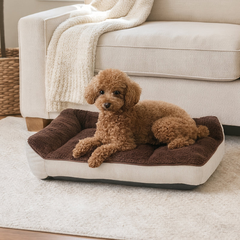 Lit pour chien Scout