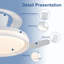 20cm Ceiling Fan