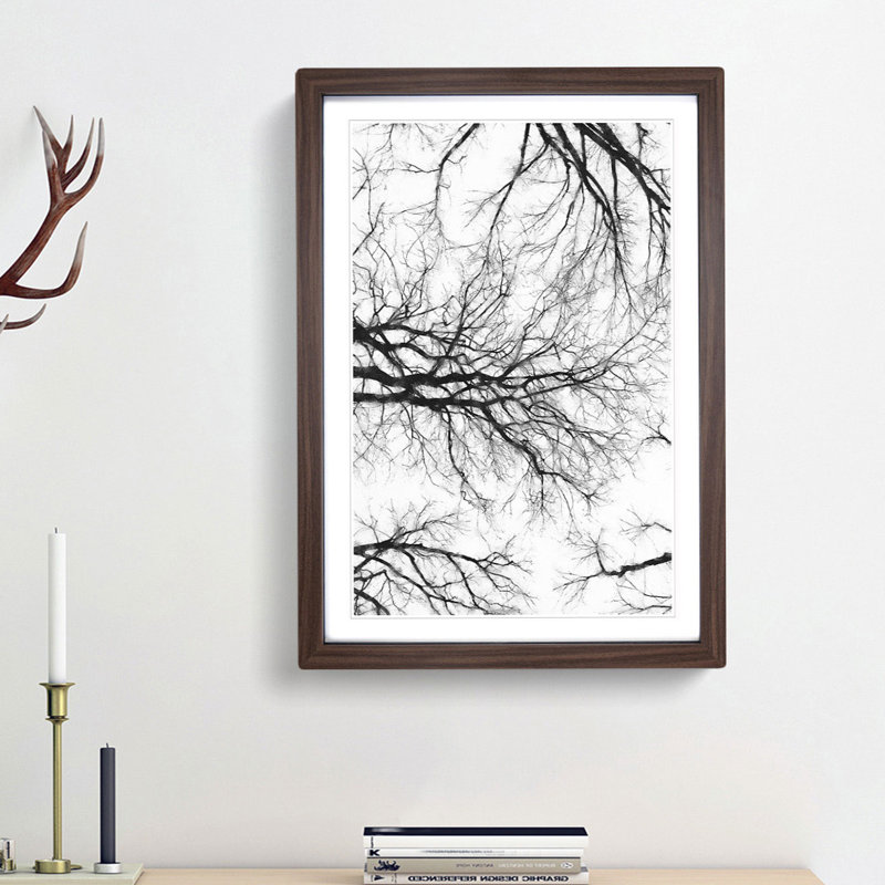 Tree Branches in Central Park New York - Picture Frame Painting Print, 45cm H x 33cm W x 2cm D, Walnut Framed