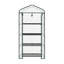 Space-Saving Sturdy Garden Greenhouse for Vegetable Fruit Flower Plant Shed with Strong Reinforced Winterproof Structure, Green-137945186