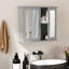 Carruth 60mm W 50mm H Wall Mounted Required Framed Medicine Cabinet Mirror