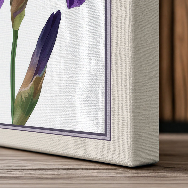 Twin Irises Botanical - Wrapped Canvas, 36x24 - 91.4 x 61.0 cm, Cream Border
