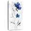Beautiful Blue I-707749295