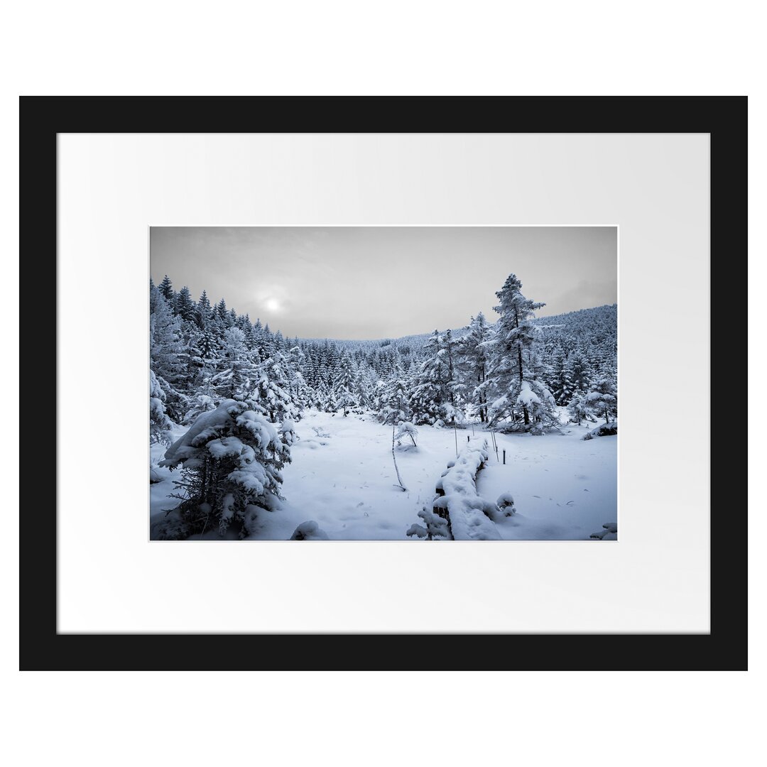 Gerahmtes Poster Wald im verschneiten Winter