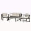 ENSEMBLE DE CHAT 4 PCS, FINITION NOIRE AVEC COUSSIN BEIGE