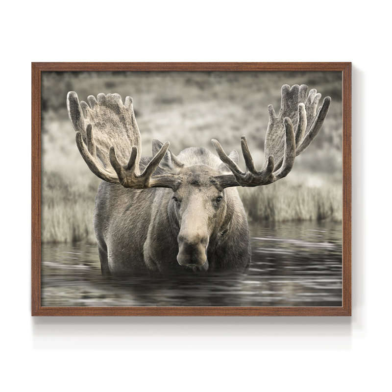 Moose Hot Springs - reproduction encadrée - réarmable, H 8 po x l 10 po, Noyer