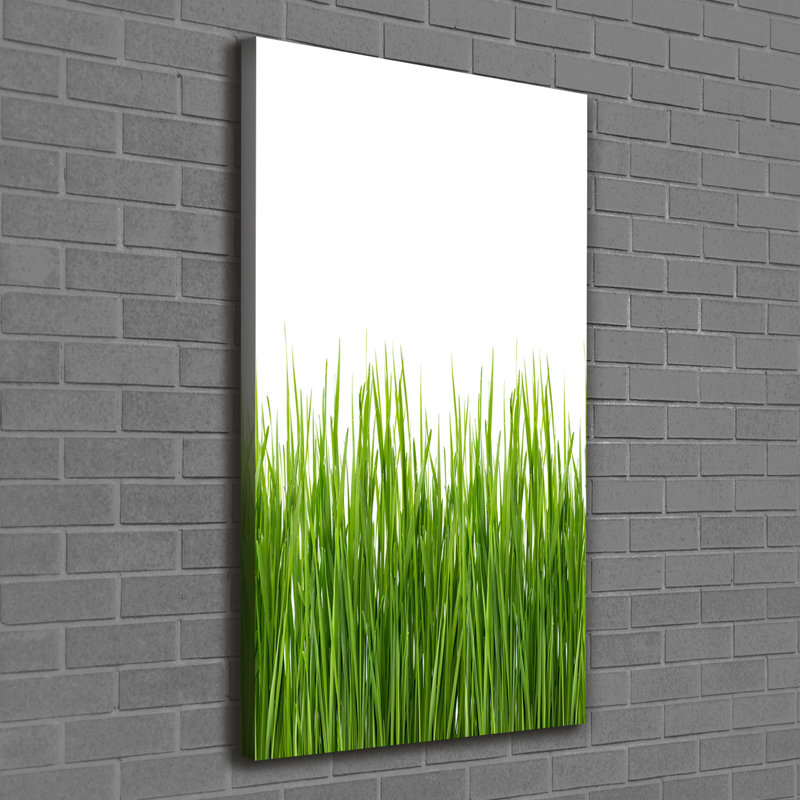 Green Grass - Wrapped Canvas Print