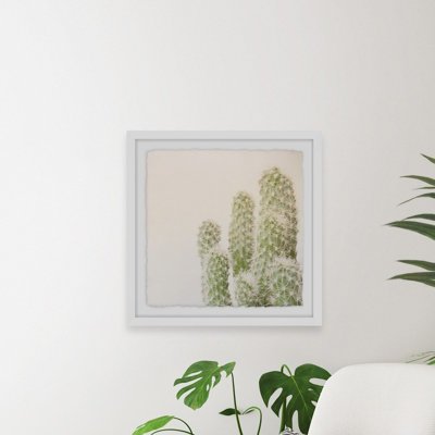 White Fuzzy Cactus 1 Piece Single Picture Frame Wall Art