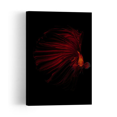 The Red Contemporary Fish Wall Art Print 1 Piece Wrapped Canvas Wall Art