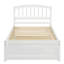 Élégant lit plateforme en bois avec lit gigogne pour chambres modernes et chambres d'amis-177033745
