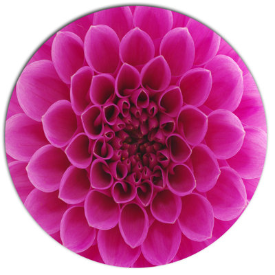 " Dark Pink Abstract Flower Petals "
