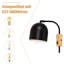 Arloine Iron Armed Sconce-1148424470