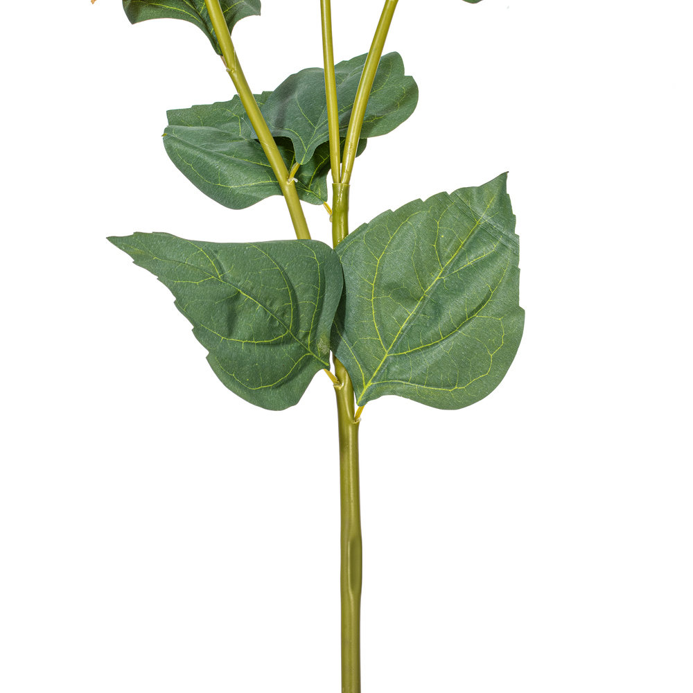 Ranbir Hydrangea Stems, Lavender