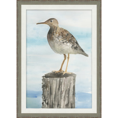 Sea Bird 2 Framed Print