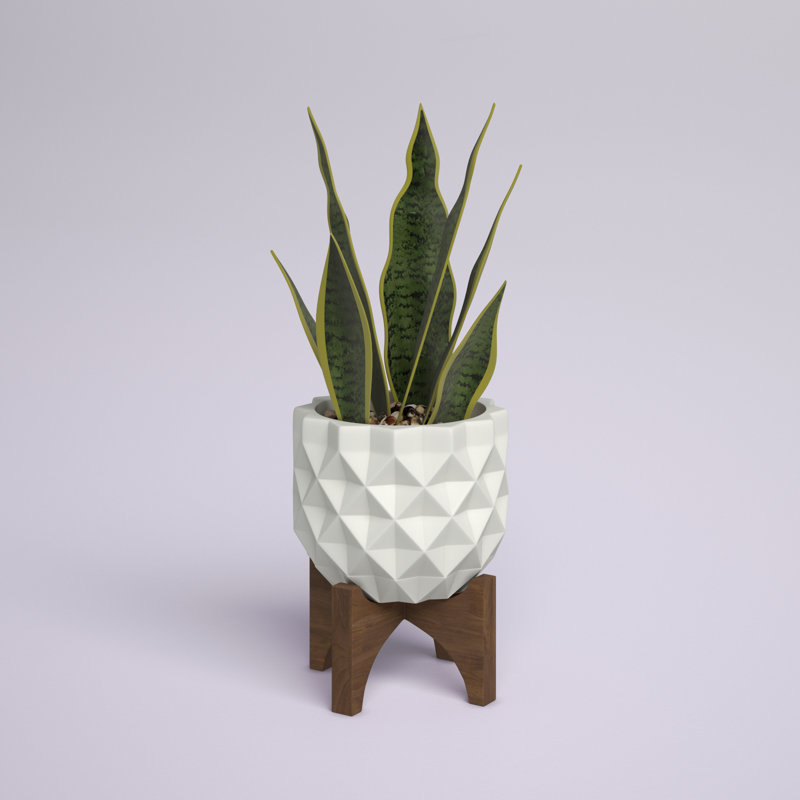 Plante de serpent artificielle de 5 po dans un pot de fleurs