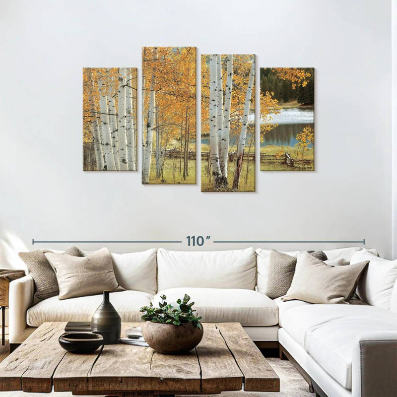 Alvord Birch Beauty, H 48 po x l 75 po