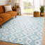Tapis à poil long de qualité supérieure lavable à la machine ADS621-130511735-130511751