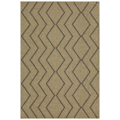 Indoor/Outdoor Area Rug