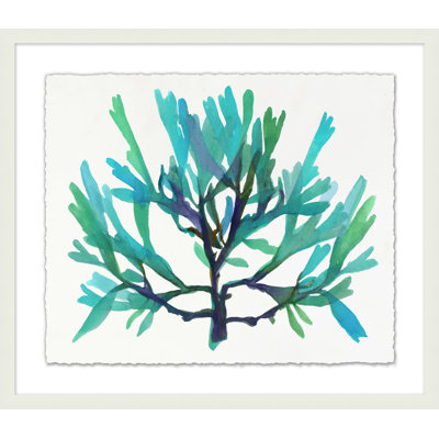 Transparaent Sea Life 4 Print