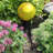 Glass Gazing Ball