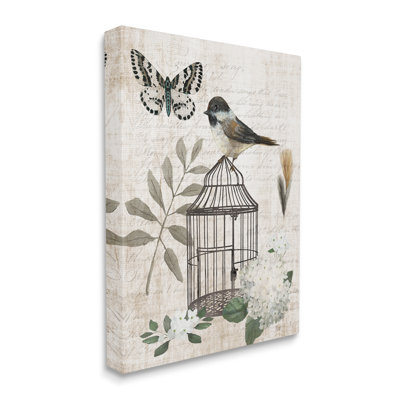 Botanical Bird Cage Vintage Words Butterfly Motif by Nan - Graphic Art on Canvas