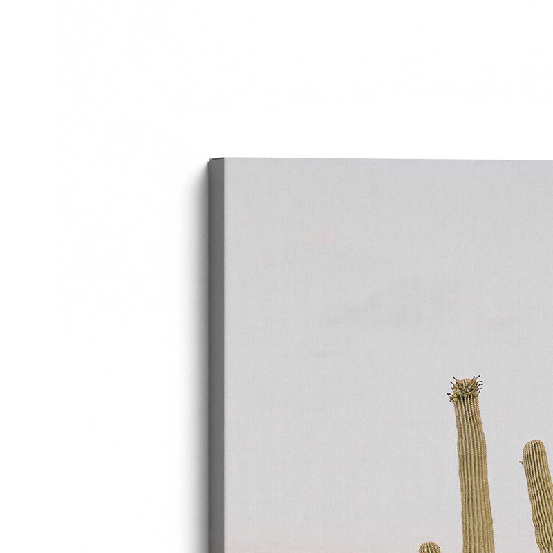 Desert Majesty, Large Canvas Print, 54" H x 36" W