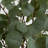 Villalobos 48'' Faux Eucalyptus Tree in Pot